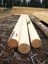 Turned Equalized Timbers - Rounded Logs