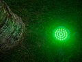 Turned on green light. Street illumination lamp in the ground. Lantern in the ground. Palm lighting Royalty Free Stock Photo