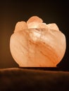 Turned on Himalayan pink salt lamp carved as a bowl.