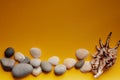 Turned round stones and shells on a yellow background Royalty Free Stock Photo
