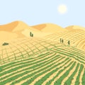 Turning the desert into a successful cattle farm. Equipped beds on the sand in arid climates