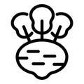 Turnip edible icon outline vector. Fresh kohlrabi consume