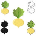 Turnip icon of different in flat style, isolated on white background.