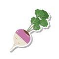 Turnip icon Royalty Free Stock Photo