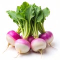 Turnip isolated on white background. Ai generated Royalty Free Stock Photo