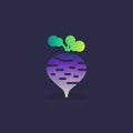 Turnip radish flat icon