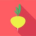 Turnip vegetable icon, flat style