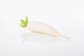 A turnip in white background Royalty Free Stock Photo