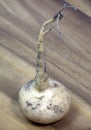 Turnip on a wooden table Royalty Free Stock Photo