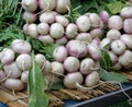 Turnips