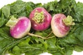 Turnips on a Bed of Greens