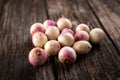 Turnips, beets on rustic wooden background Royalty Free Stock Photo