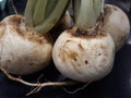 turnips on the market