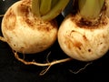 turnips on the market