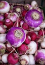 Turnips and Radishes