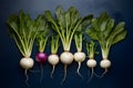 Turnips vegetables arranged on the kitchen flat lay for foodgraphy
