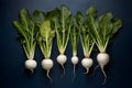 Turnips vegetables arranged on the kitchen flat lay for foodgraphy