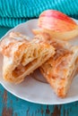 Turnover Apple Pastry