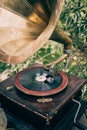 Turntable vinyl record player or vintage gramophone. Retro audio equipment for vinyl disc