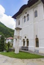 Cross near Turnu monastery