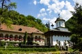 Turnu Monastery in a sunny day