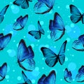 Turquise butterflies and blue bubbles on background flying. Seamless pattern, repetitive pattern for spring and summer insects Royalty Free Stock Photo