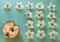 A turquoise background with white apple flowers and a half of a red apple.