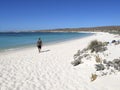 Turquoise bay, Ningaloo Coast, Cape Range National Park, Western Royalty Free Stock Photo