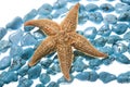 Turquoise beads & sea star