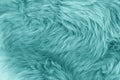 Turquoise blue sheepskin rug background Royalty Free Stock Photo