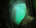 Mysterious fantasy forest landscape with light blue transparent haze on a background Royalty Free Stock Photo