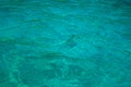Turquoise blue tropical sea water texture. Rippled seawater closeup. Still sea surface Royalty Free Stock Photo