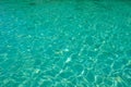 Turquoise blue tropical sea water texture