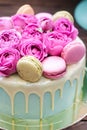 Turquoise cake with white melted chocolate, fresh roses and french macaroons decoration Royalty Free Stock Photo