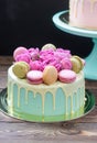 Turquoise cake with white melted chocolate, fresh roses and french macaroons decoration Royalty Free Stock Photo