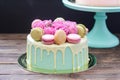 Turquoise cake with white melted chocolate, fresh roses and french macaroons decoration Royalty Free Stock Photo