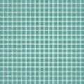 Turquoise checkered tablecloth