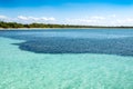 Turquoise clear water near beach. Deep blue waters of the Caribbean Sea meet a bay on the island of Isla de la Juventud, Cuba Royalty Free Stock Photo