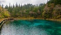 Turquoise color long lake with yellow pine tree background in Jiuzhaigou National Park, China Royalty Free Stock Photo