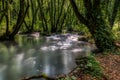 Turquoise color of water in the summer on the river Janj Royalty Free Stock Photo