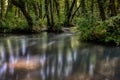 Turquoise color of water in the summer on the river Janj Royalty Free Stock Photo