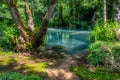 Turquoise color of water in the summer on the river Janj Royalty Free Stock Photo