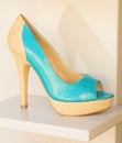 Turquoise and cream ladies shoe.