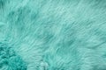 Turquoise dyed rabbit fur Texture, animal skin background Royalty Free Stock Photo