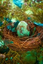 Turquoise Easter egg Royalty Free Stock Photo