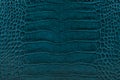 Turquoise embossed leather texture background