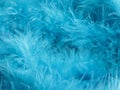 Turquoise feathers background - stock photo Royalty Free Stock Photo