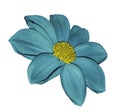 Turquoise flower dahlia on white isolated background with clipping path. No shadows. Closeup. Royalty Free Stock Photo