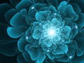 Turquoise fractal flower
