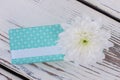 Turquoise gift box with white flower. Royalty Free Stock Photo